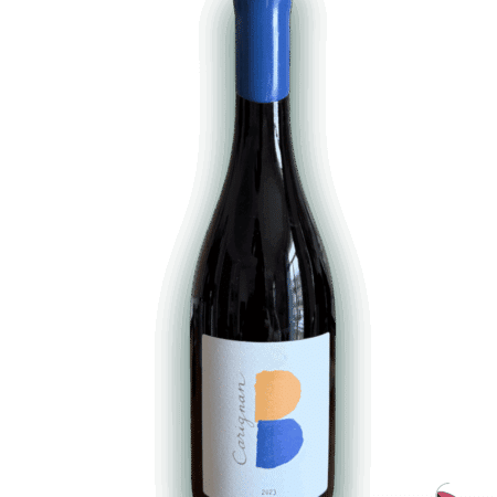 Clos-des-B-Carignan-2023