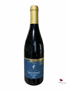 DOMAINE-LES-ASTRELLES-GEVREY-CHAMBERTIN-EN-SYLVIE-2022