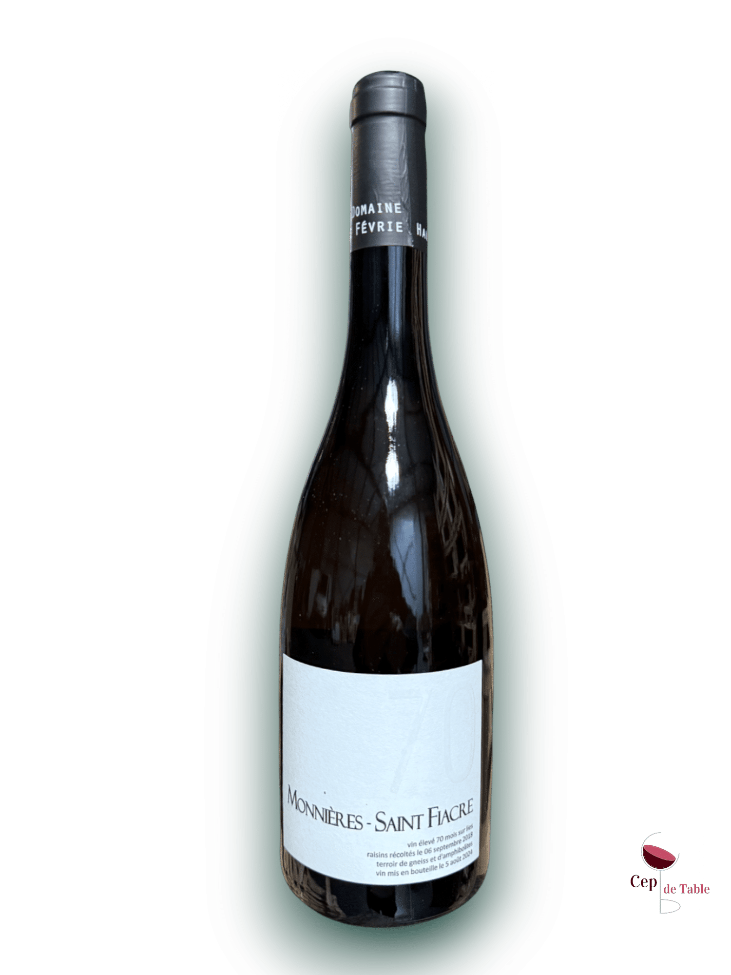 Domaine Haute Févrie Monnières St Fiacre 2018 70 mois