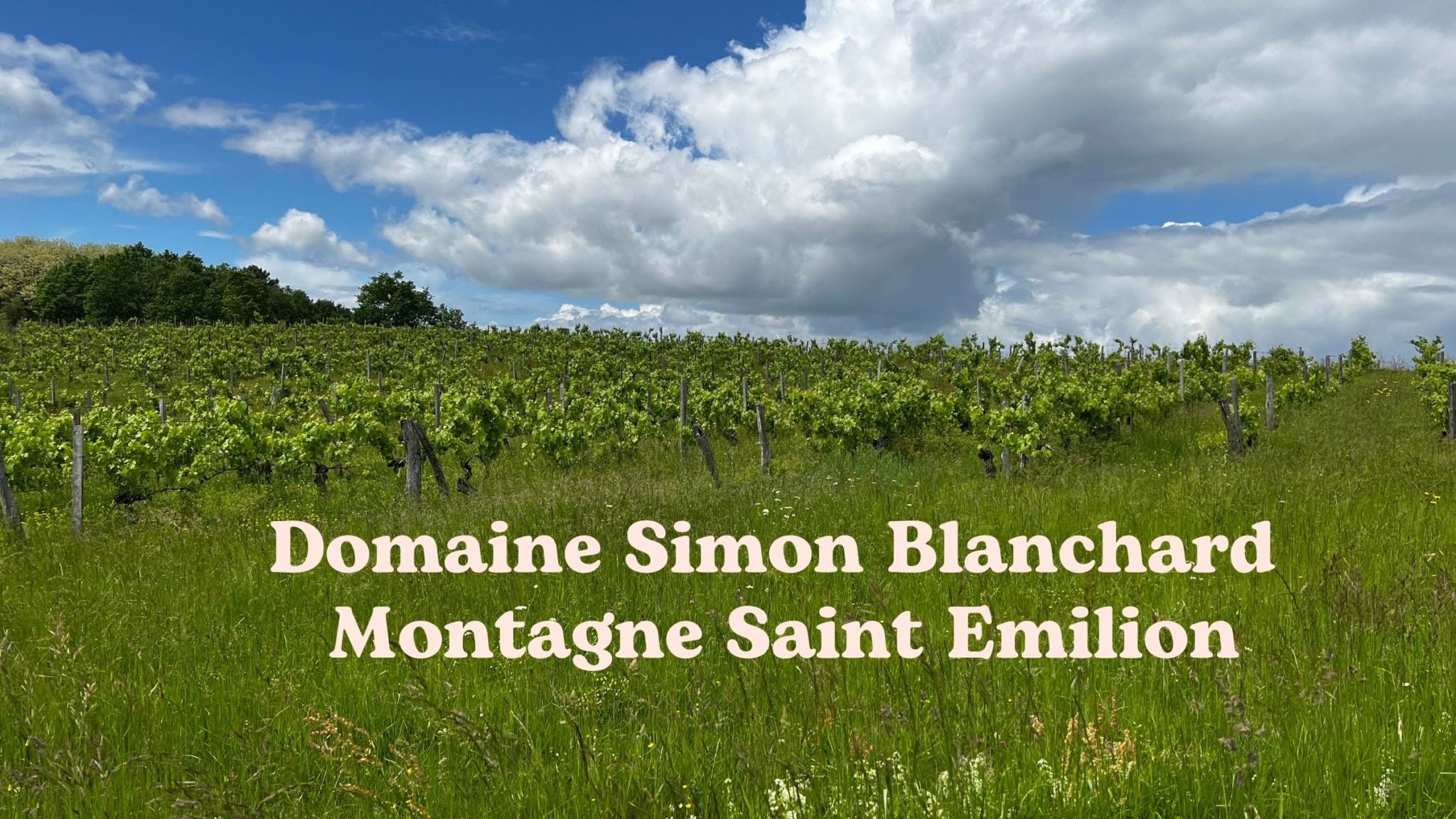 Domaine Simon Blanchard