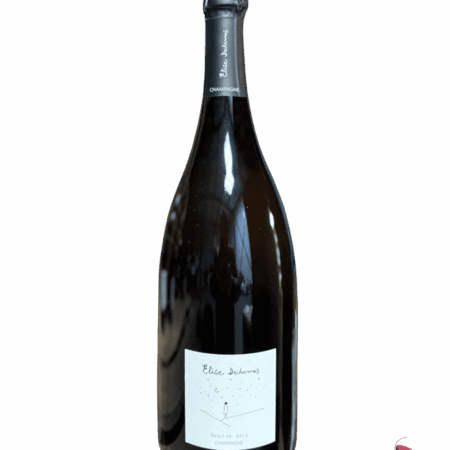 ELISE DECHANNES LES CONFIDENTIELLES ABSOLUE GRÈS EN MAGNUM