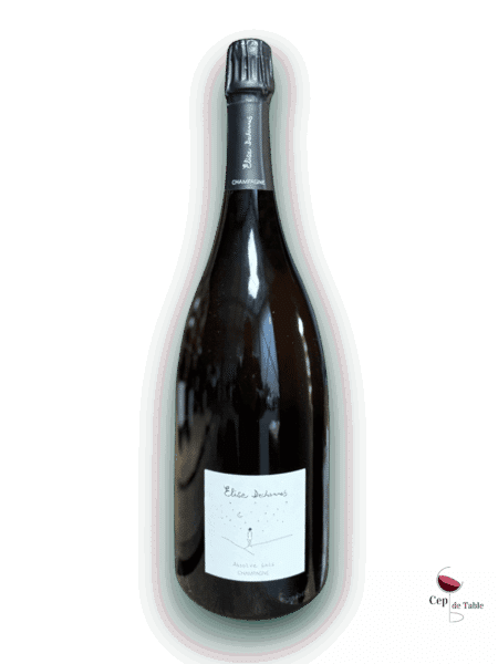 ELISE DECHANNES LES CONFIDENTIELLES ABSOLUE GRÈS EN MAGNUM
