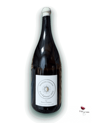 FRANÇOIS CHIDAINE LES EPINAYS 2022 EN MAGNUM