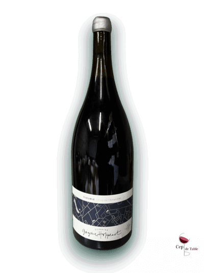 . HOPPENOT FLEURIE CLOS DE L’AMANDIER 2022 EN MAGNUM