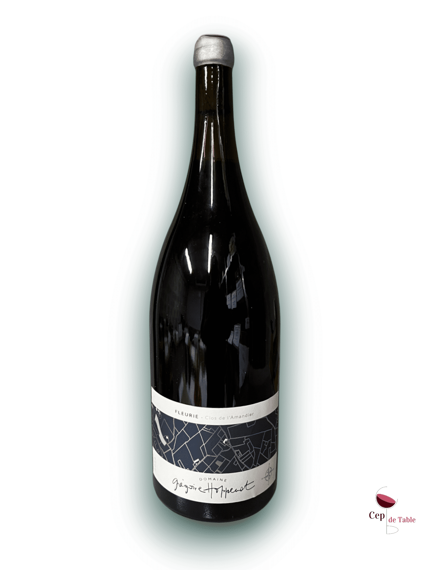 . HOPPENOT FLEURIE CLOS DE L’AMANDIER 2022 EN MAGNUM