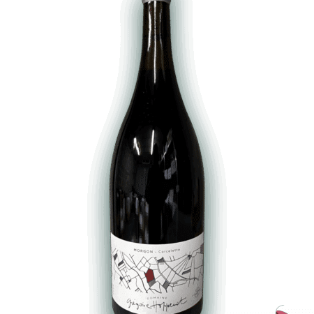 G. HOPPENOT MORGON CORCELETTE 2022 EN MAGNUM