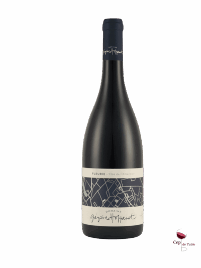 Gregoire-Hoppenot-Fleurie-Clos-de-lAmandier-2022