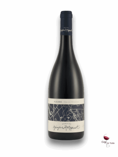 Gregoire-Hoppenot-Fleurie-Clos-de-lAmandier-2022