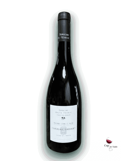 Haute-Fevrie-Chateau-Thebaud-2020