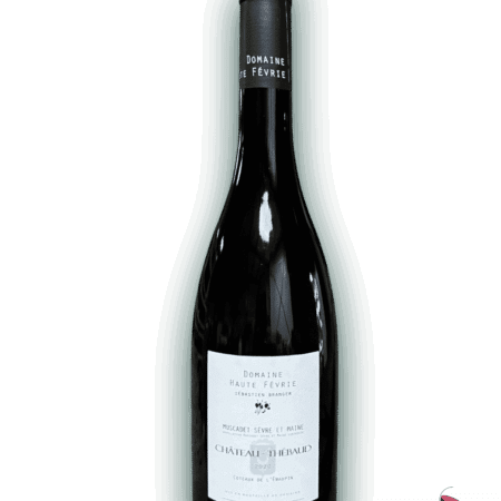 Haute-Fevrie-Chateau-Thebaud-2020