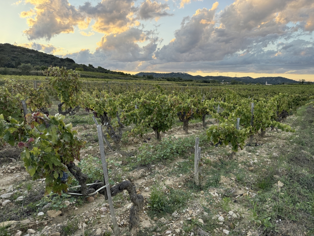 Clos du Jas Le Clos Clos du Jas Le Clos