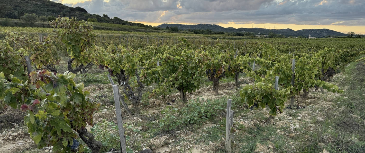 Clos du Jas Le Clos