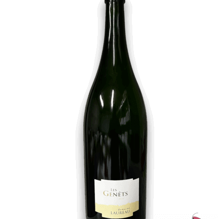 D. LAUREAU SAVENNIÈRES LES GENÊTS 2020 EN JÉROBOAM