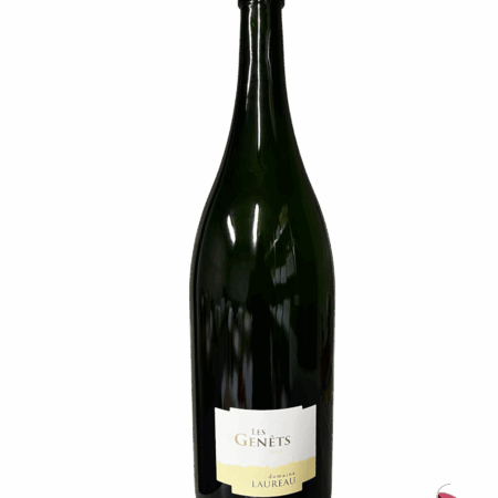 D. LAUREAU SAVENNIÈRES LES GENÊTS 2020 EN JÉROBOAM
