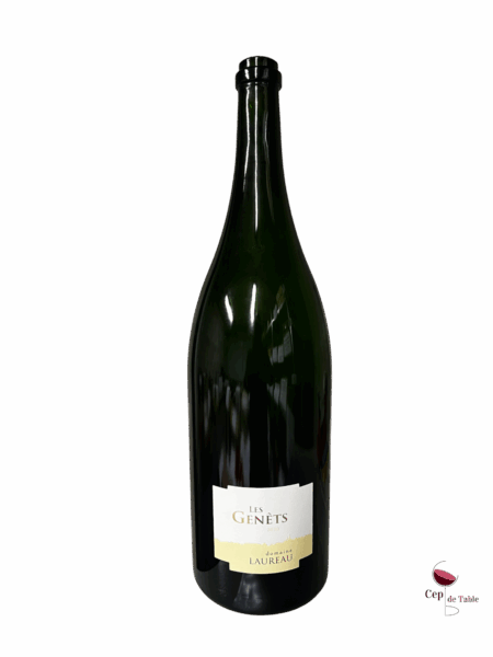 D. LAUREAU SAVENNIÈRES LES GENÊTS 2020 EN JÉROBOAM