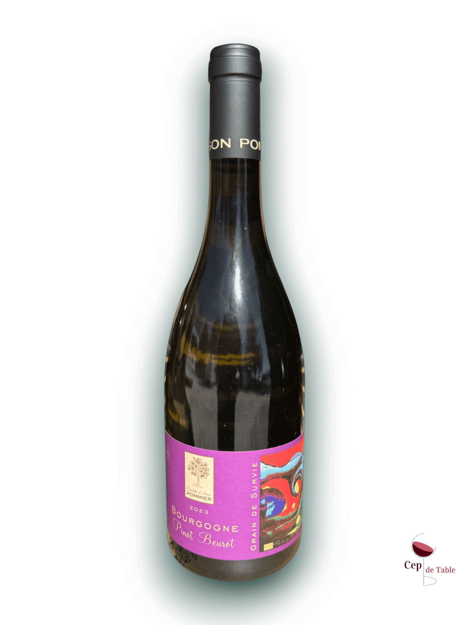 Isabelle et Denis Pommier Pinot Beurot 2023