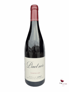 Jean-Luc-Jamet-Pinot-Noir-Schistes-2022