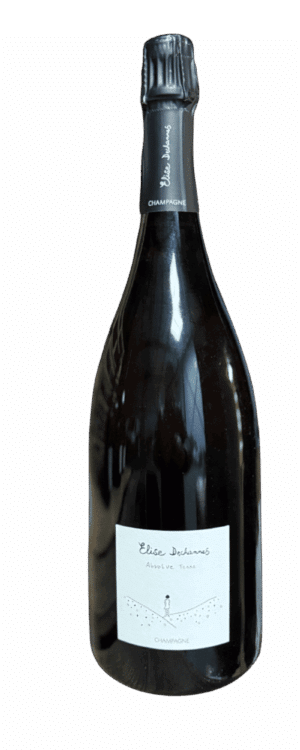 ELISE DECHANNES LES CONFIDENTIELLES ABSOLUE TERRE EN MAGNUM