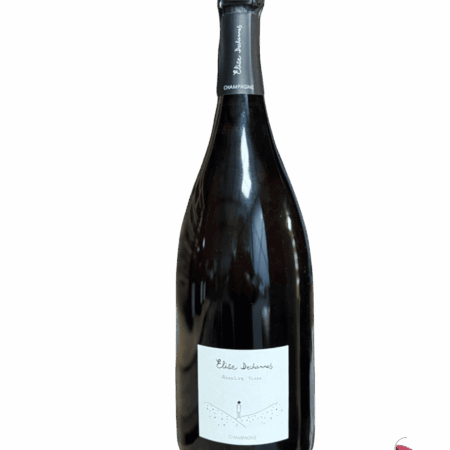 ELISE DECHANNES LES CONFIDENTIELLES ABSOLUE TERRE EN MAGNUM