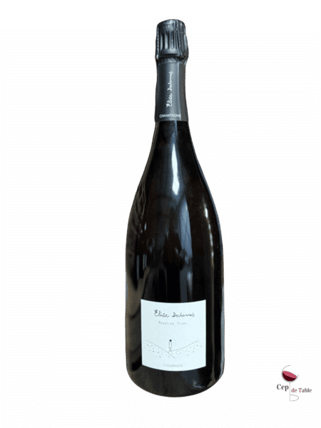 ELISE DECHANNES LES CONFIDENTIELLES ABSOLUE TERRE EN MAGNUM