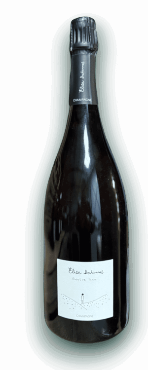 ELISE DECHANNES LES CONFIDENTIELLES ABSOLUE TERRE EN MAGNUM