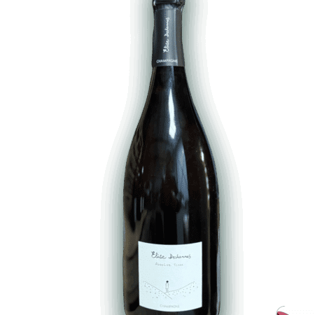 ELISE DECHANNES LES CONFIDENTIELLES ABSOLUE TERRE EN MAGNUM