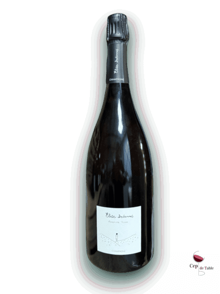 ELISE DECHANNES LES CONFIDENTIELLES ABSOLUE TERRE EN MAGNUM