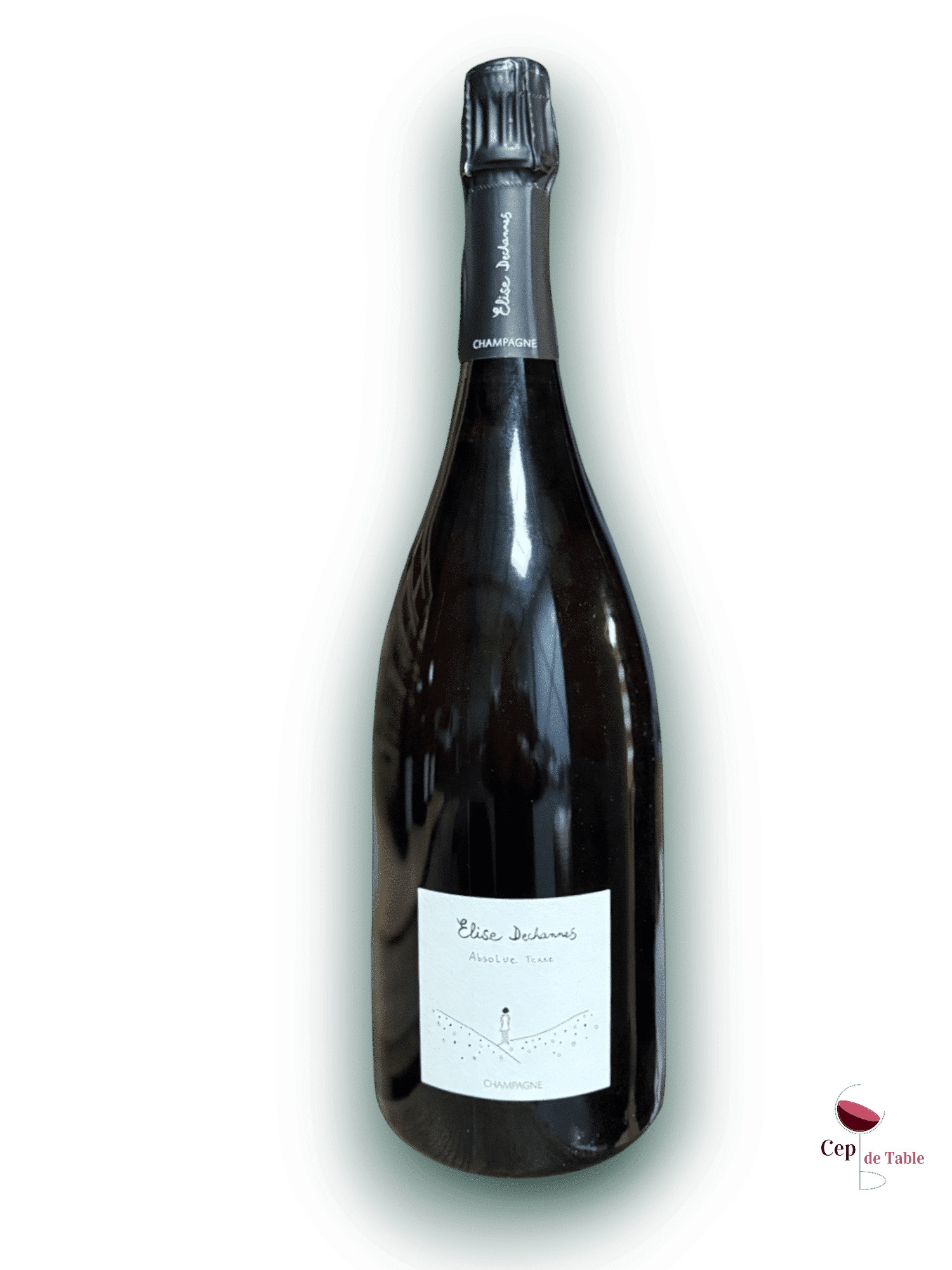 ELISE DECHANNES LES CONFIDENTIELLES ABSOLUE TERRE EN MAGNUM