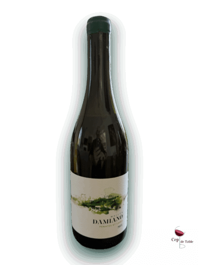 Maison Damiano Penates et Lares 2024