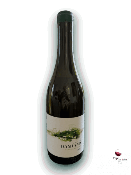 Maison Damiano Penates et Lares 2024