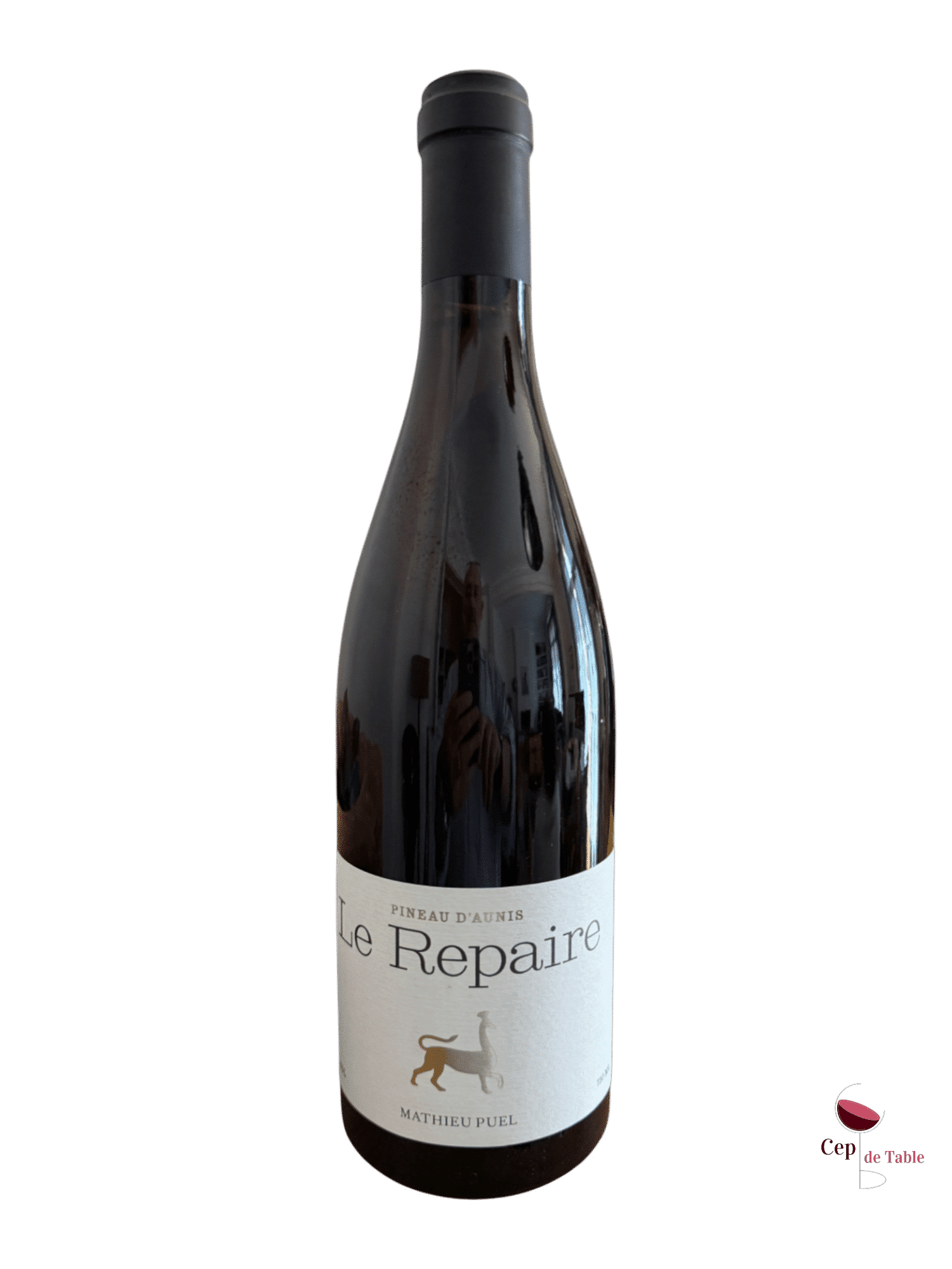 REPAIRE MAS SEGUR PINEAU D’AUNIS 2024