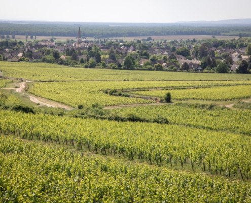 Domaine Joblot