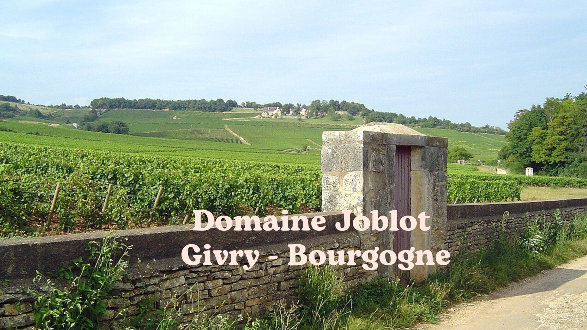 Domaine Joblot