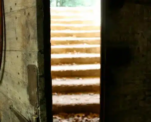 Domaines des Hauts Chassis