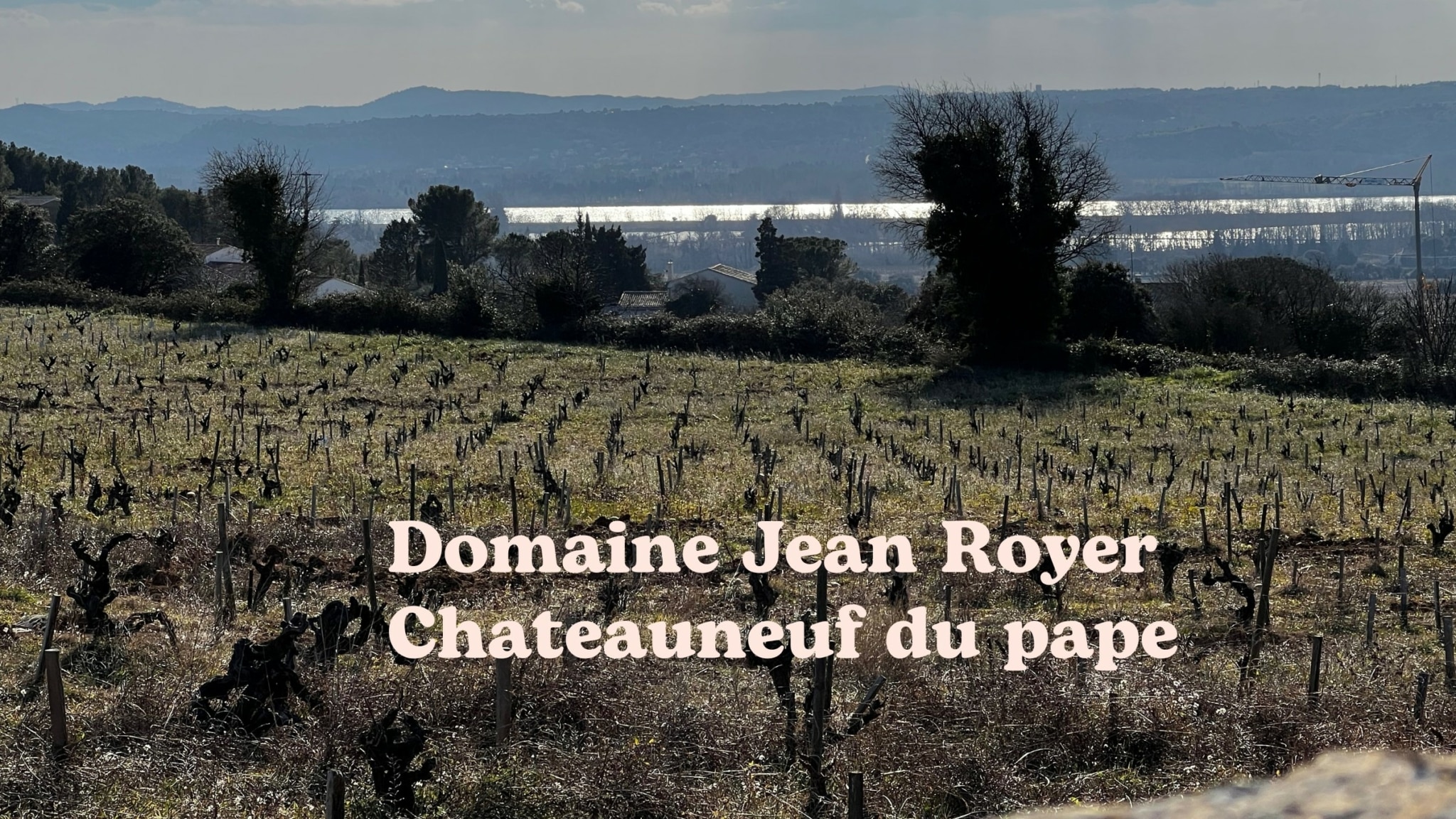 Domaines Jean royer Chateauneuf du pape
