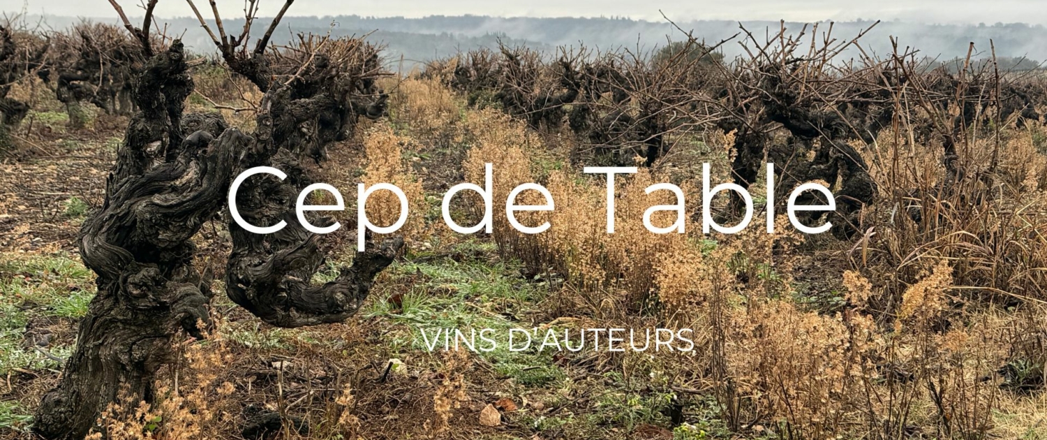 Cep de Table vin d'auteurs Cep de Table vin d'auteurs