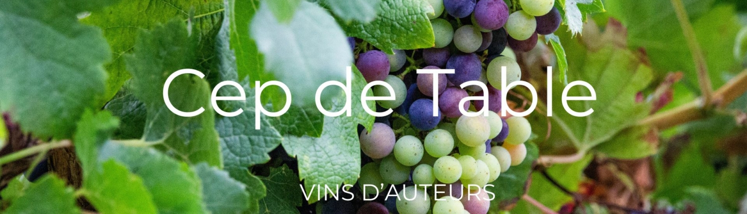 Cep de Table vin d'auteurs