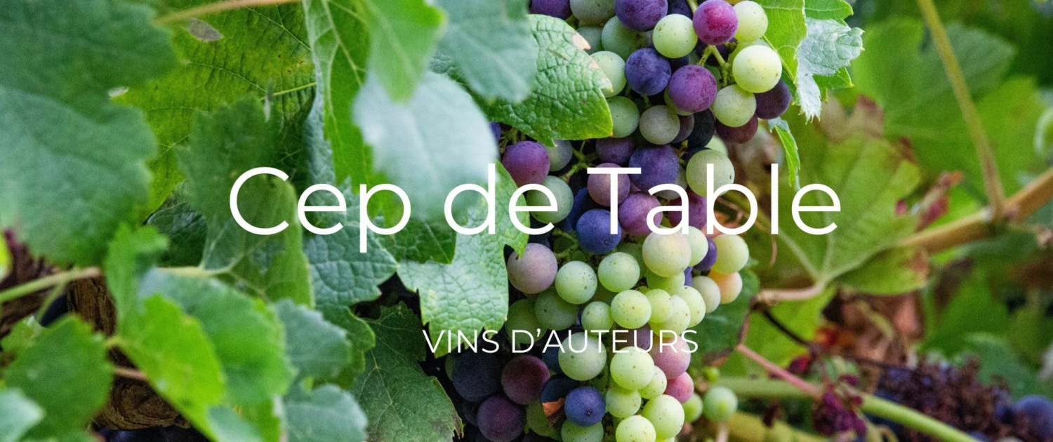 Cep de Table vin d'auteurs Cep de Table vin d'auteurs
