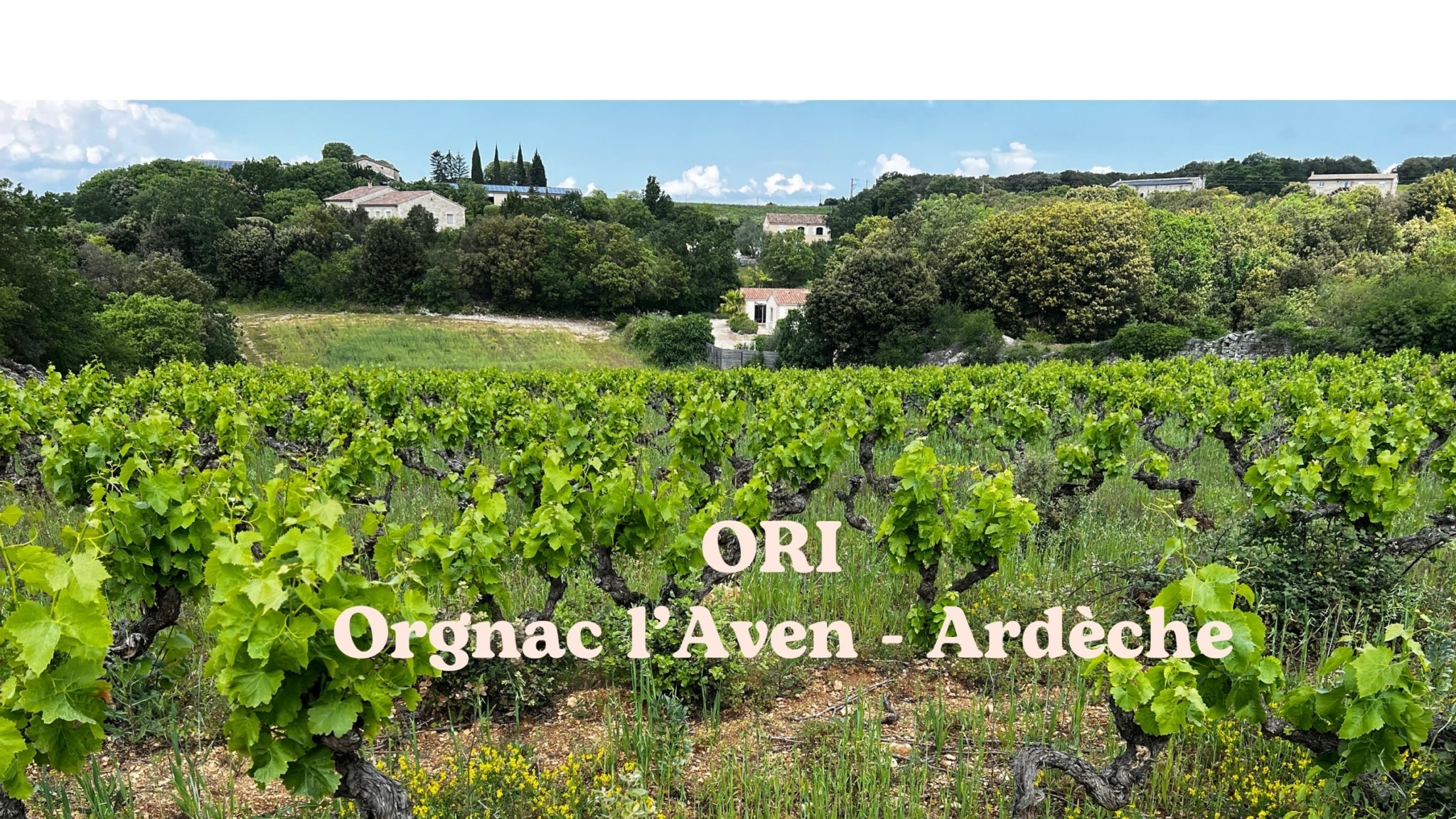 Domaine ORI