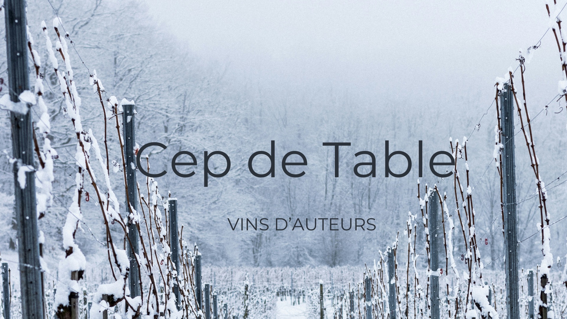 Cep de Table vins d'auteurs