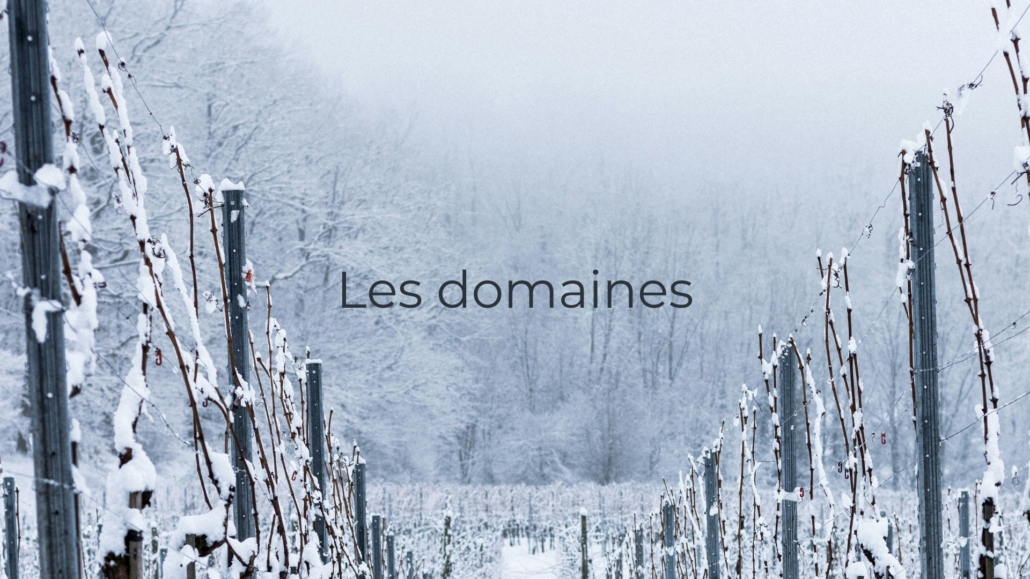 Les domaines de Cep de Table