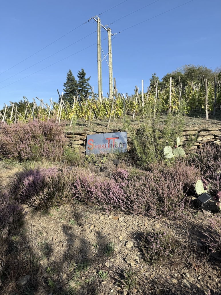 Syraltitude Syraltitude