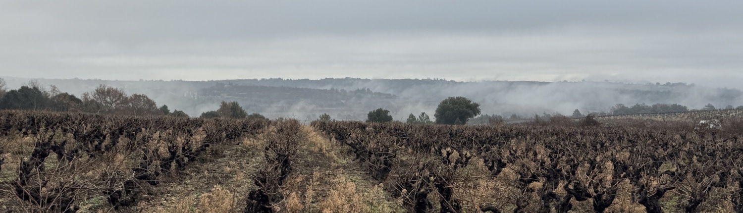 Domaines ORI petit matin Domaines ORI petit matin