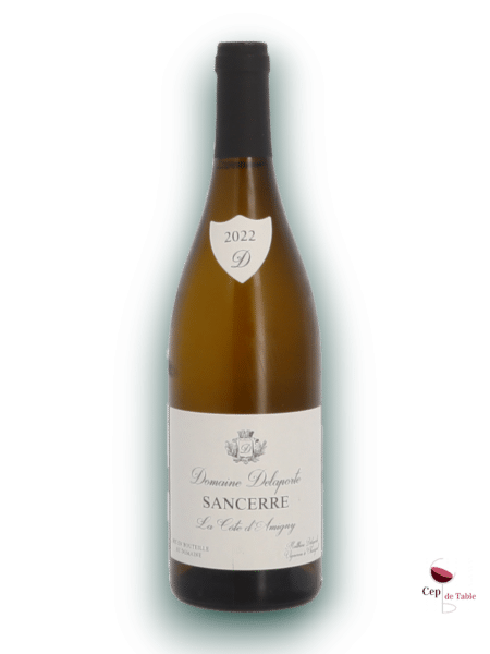 Delaporte Sancerre Blanc Côte D'Amigny