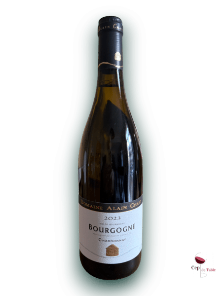 Domaine Alain Chavy Bourgogne Chardonnay
