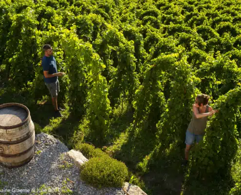 G&J BOTT Cote Rôtie