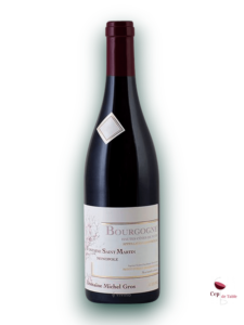 Fontaine Saint Martin rouge Michel Gros