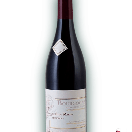 Fontaine Saint Martin rouge Michel Gros