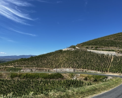 G&J BOTT Cote Rôtie