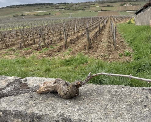 Domaine Michel Gros Vosne Romanée